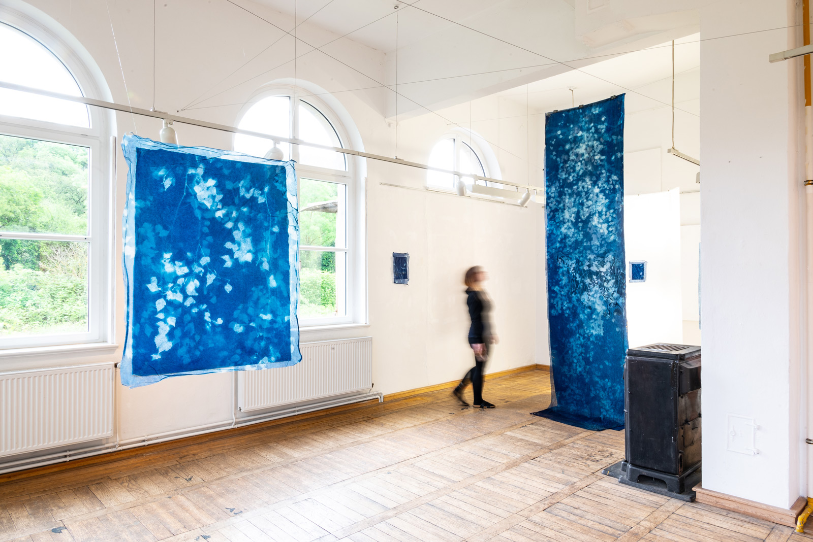 Es sind mehrere, teilweise großformatige Arbeiten zu sehen, die an Wänden und freischwebend im Raum aufgehangen sind. Die Arbeiten sind aus mehrlagigen, durchsichtigen Papieren, die von hinten von Licht "durchleuchtet" werden. Die Werke zeigen Blätter und Pflanzen die sich in unterschiedlichen Blautönen überlagern.